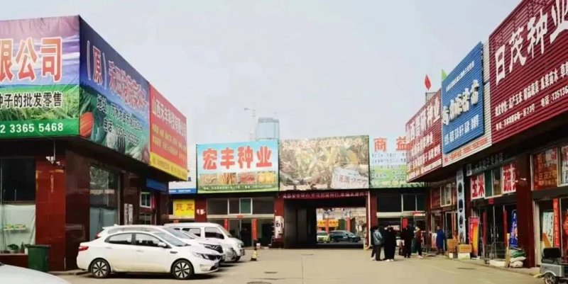 挖掘晋源区经销部的潜力:案例分析